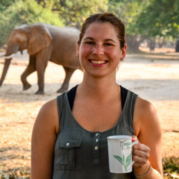 Travelettes: Camping with elephants in Zimbabwe