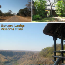 Gorges Lodge Victoria Falls great zimbabwe guide