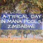 Mana Pools Zimbabwe Africa