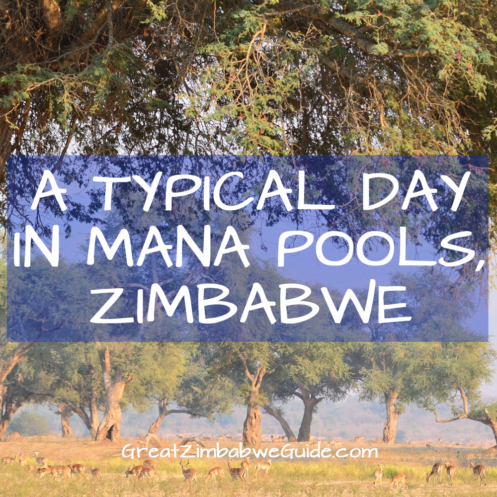 Mana Pools Zimbabwe Africa