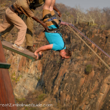 Our Victoria Falls gorge swing and adventure slide