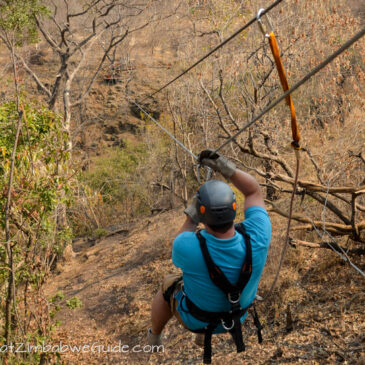 Our Victoria Falls canopy tour