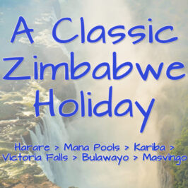 Classic Zimbabwe holiday image