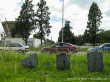 Great Zimbabwe Guide 2008 tombstones fuel queue