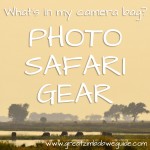Photo safari gear