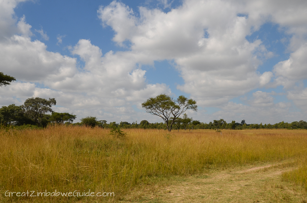 Mbizi Game Park Zimbabwe landscape