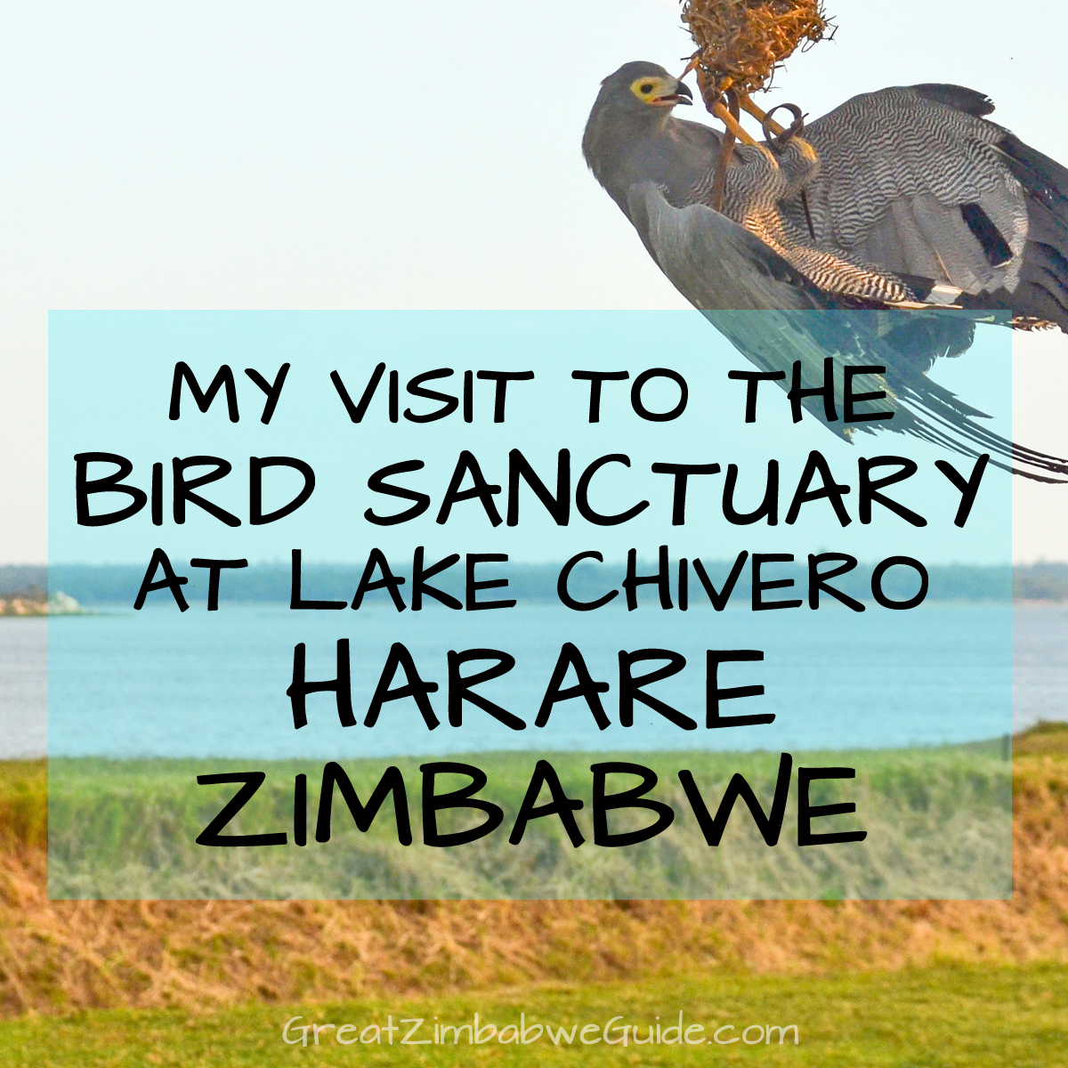 Bird Park Harare Zimbabwe Activities Review 2