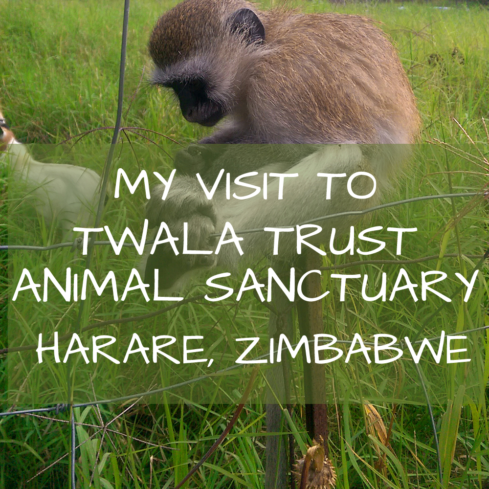Twala Trust Harare Zimbabwe Africa