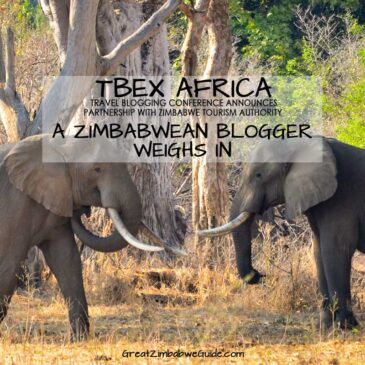 TBEX Africa announcement: response from a Zimbabwe travel blogger