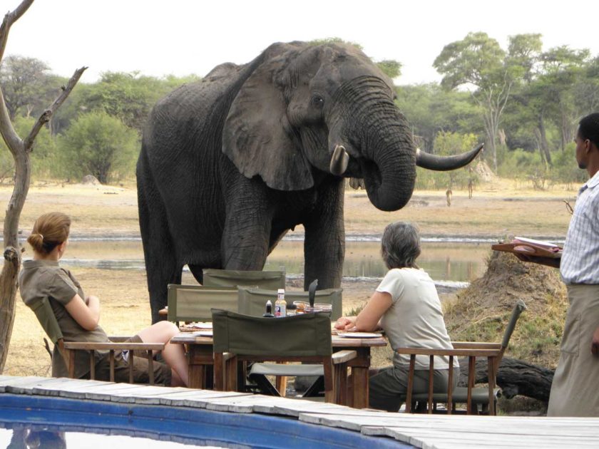HWANGE-NATIONAL-PARK-ELEPHANTS-ZIMBABWE-TOUR-SAFARI