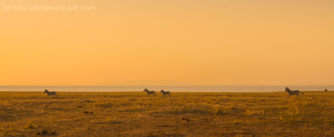 Matusadona National Park Kariba Zimbabwe Wildlife Sunset