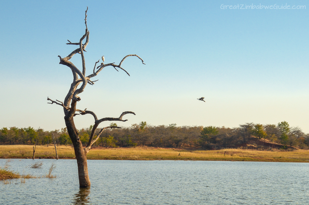 Matusadona National Park Kariba Zimbabwe Wildlife