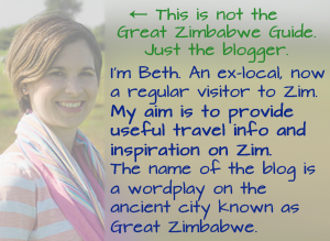About Zimbabwe Blogger 2017