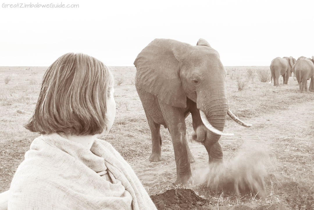 Great Zimbabwe Guide Wildlife Photography Kariba 11