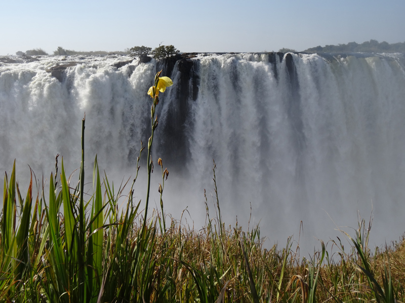 ABS Victoria Falls Zimbabwe Great