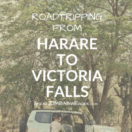 Roadtrip ZIMABWE VICTORIA FALLS harare