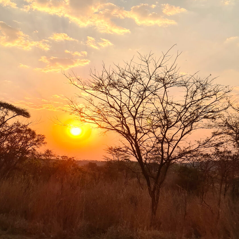 Zimbabwe sunset africa