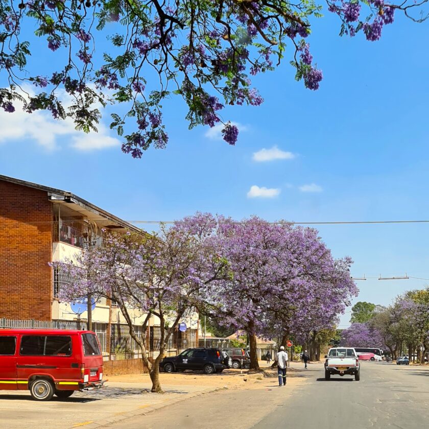 Zimbabwe town road