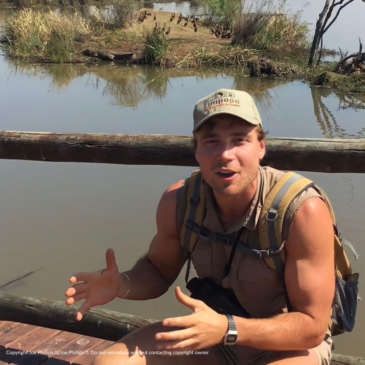 Q&A with Joe Phillips: safari guide, business owner, and candidate on BBC The Apprentice 2023