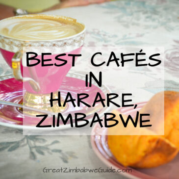 Harare coffee shops and cafes: outdoor dining at its best