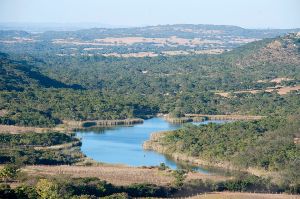 Image Source: Bushman Rock Safaris