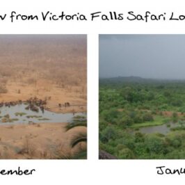 Victoria Falls Zimbabwe