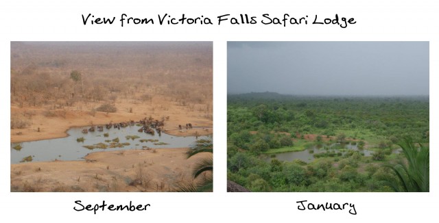 Victoria Falls Zimbabwe