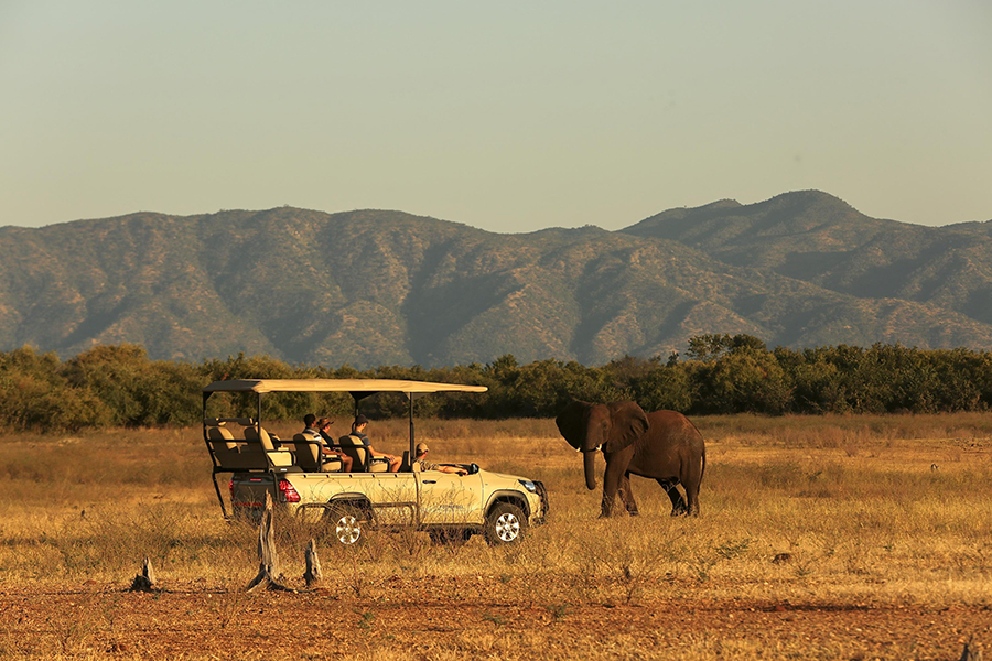 Go2AFRICA ZIMBABWE GAME DRIVE SAFARI