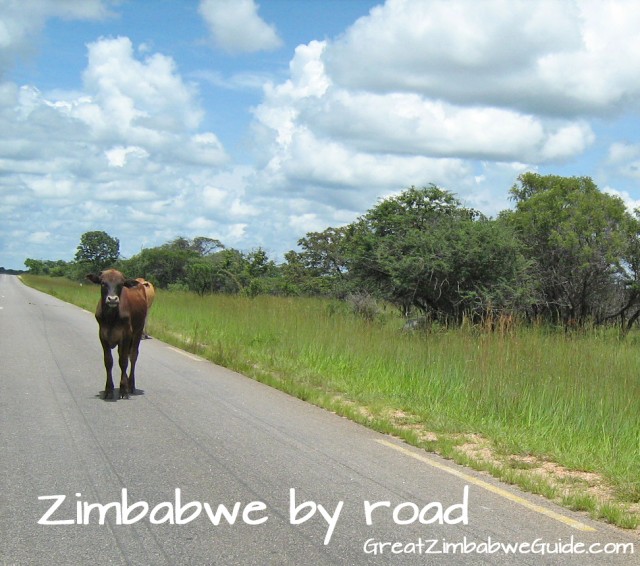 Zimbabwe road - from Great Zimbabwe Guide