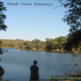 RoadtripthatRoared Hillside Dams