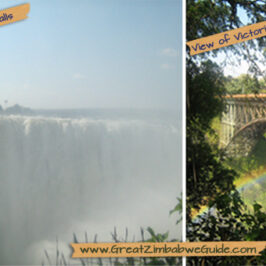 Victoria Falls Main and Bridge