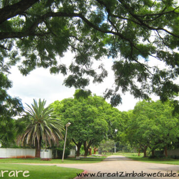 The roadtrip that roared: #9 Harare and Coffee
