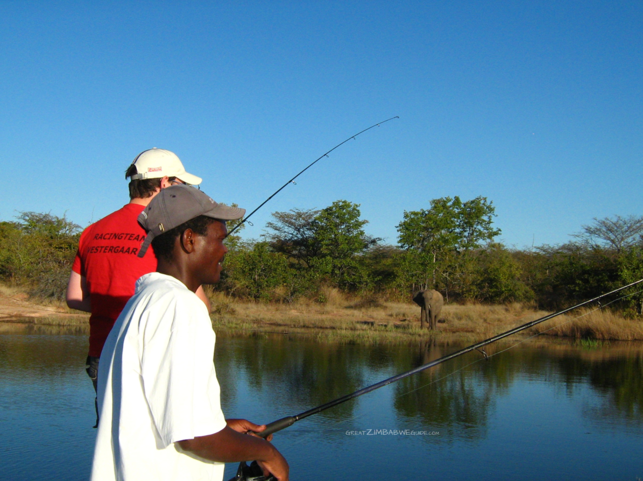 Kariba hats elephant