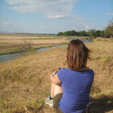 The roadtrip that roared: #11: Look, there’s a lion!