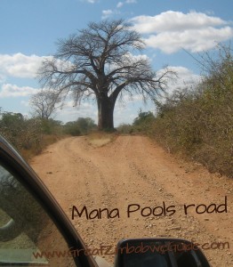 Mana road