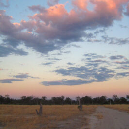 Mana road sunset