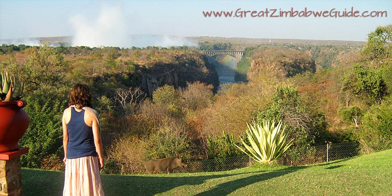 Victoria Falls hotel view