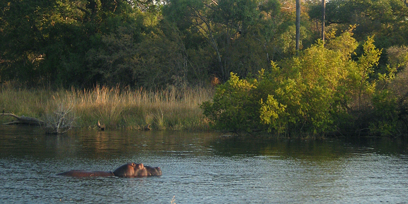 Victoria Falls sunset cruise 2