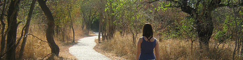 victoria falls walk