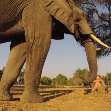 Man and elephant by Lola Photography