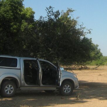 Driving in Zimbabwe: Top tips for self-drive visitors
