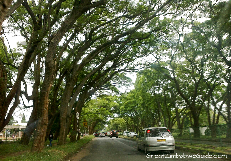 Harare Street Zimbabwe