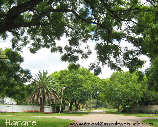 Harare street