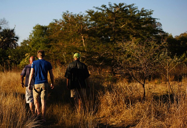 Victoria Falls bush walk