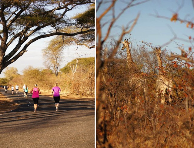 Victoria Falls marathon