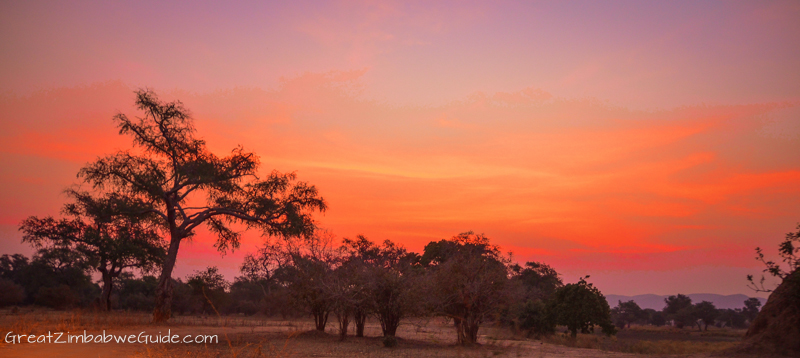 Mana Pools sunset