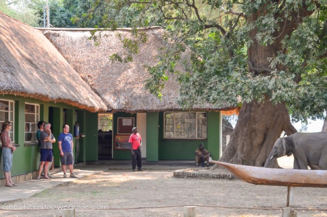 Mana Pools (47)