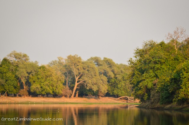 Mana Pools - Long Pool