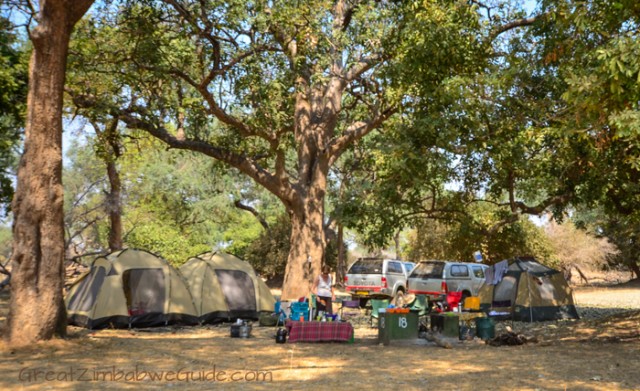 Mana Pools Campsite