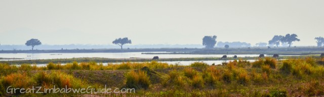 Mana Pools river